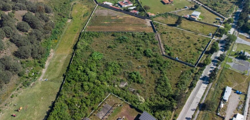 Terreno Venta Bosque La Primavera