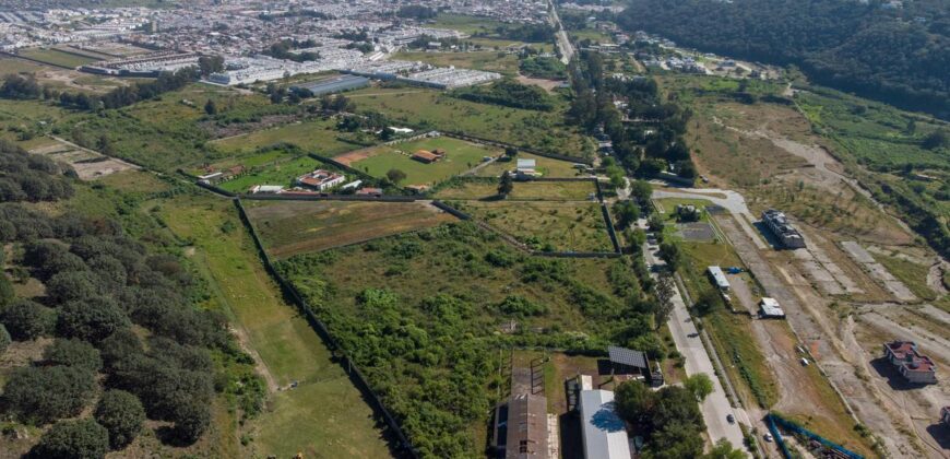 Terreno Venta Bosque La Primavera