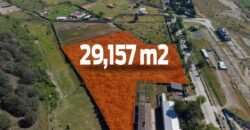 Terreno Venta Bosque La Primavera
