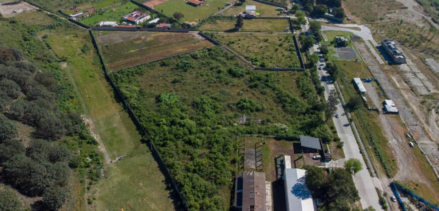 Terreno Venta Bosque La Primavera