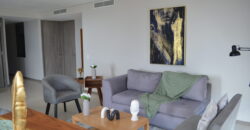 Departamento en Renta Zona Andares