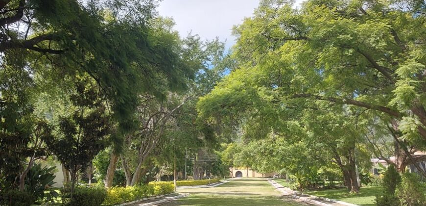 Terreno en Ajijic, en uno de los mejores Fraccionamientos