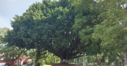 Terreno en Ajijic, en uno de los mejores Fraccionamientos