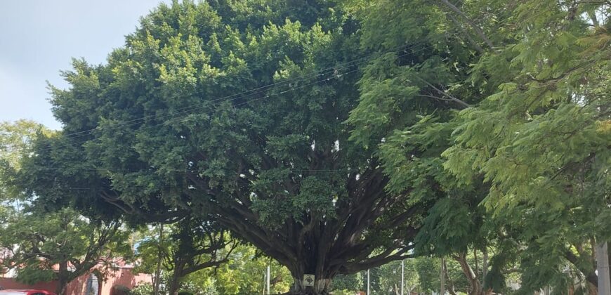 Terreno en Ajijic, en uno de los mejores Fraccionamientos